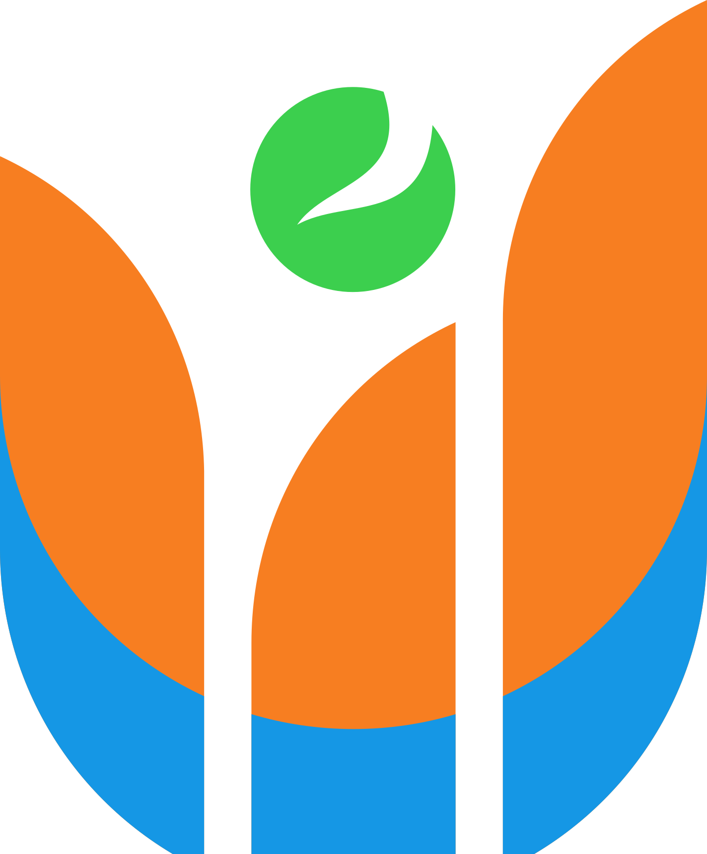 VIDANET